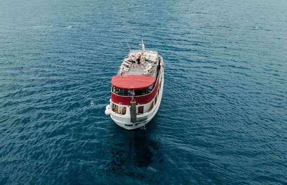 Motorboat Betina Wooden boat 530hp