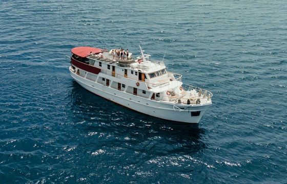 Motorboat Betina Wooden boat 530hp