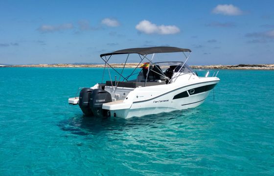 Motorboat Jeanneau Cap Camarat WA 9.0 500hp