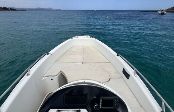 Motorboat Clear Liner Aries 150hp