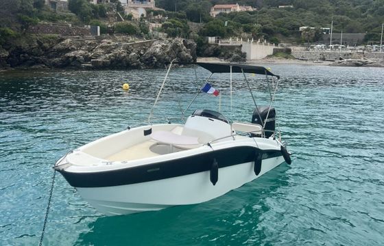 Motorboat Clear Liner Aries 150hp