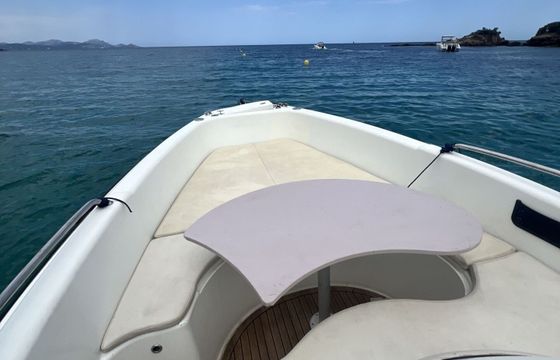 Motorboat Clear Liner Aries 150hp
