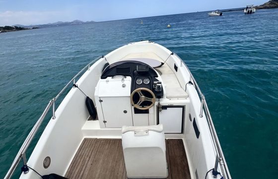 Motorboat Clear Liner Aries 150hp