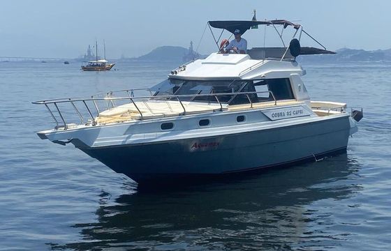 Motorboat Cobra cobra capri 32 500hp