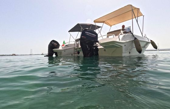 Boat without licence  Tancredi Blumax 19 pro 40hp