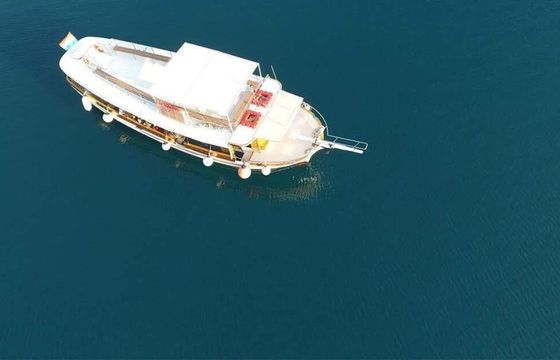 Motor yacht Custom wooden Traditional wooden boat 260hp