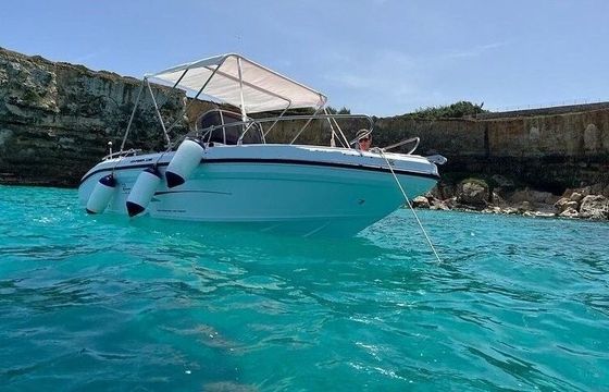 Boat without licence Ranieri Voyager 19 S 40hp