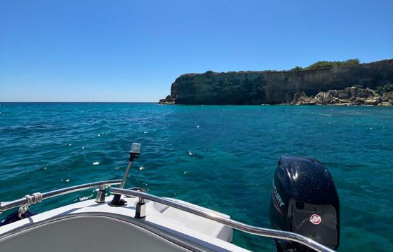 Boat without licence Ranieri Voyager 19 S 40hp