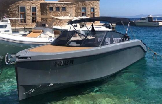 Motorboat Rand Leisure 28 350hp