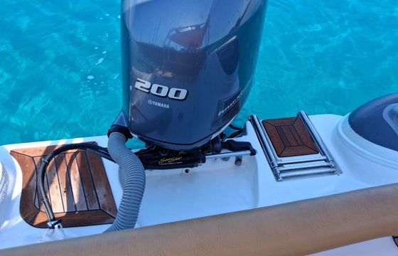 RIB RIBLINE MV 570 200hp