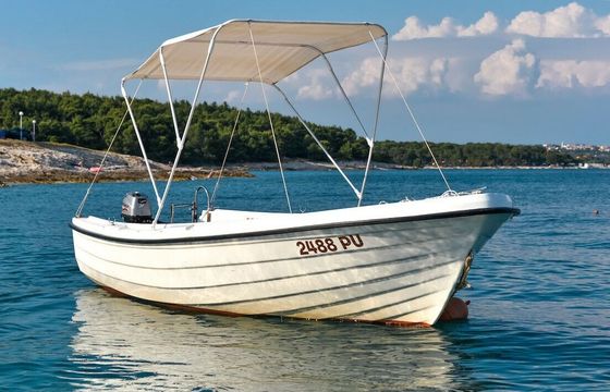Boat without licence  VEN 501 6hp