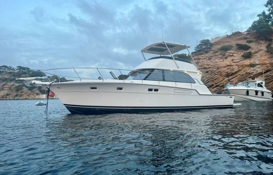 Motor yacht Bertram 54 1100hp