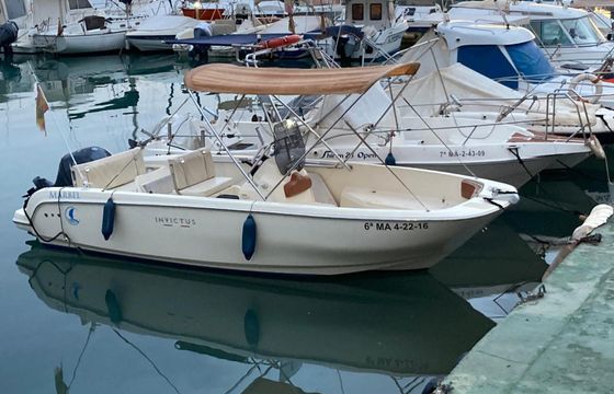 Motorboat Invictus FX 190 115hp