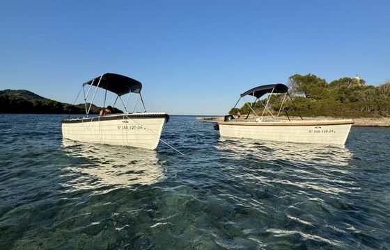 Boat without licence Silver yacht Silver 495 15hp