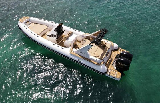 Motorboat Tiger Marine Topline 9.50 500hp