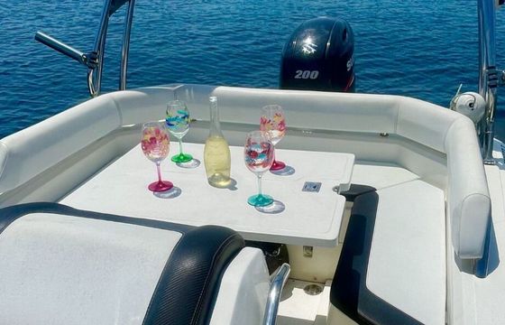 RIB Bsc 70 200hp