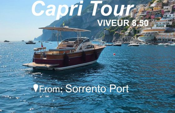 Motorboat Tirrenia Viveur 28 300hp