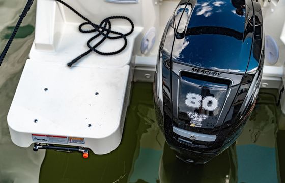 Motorboat Quicksilver Activ 555 Cabin 80hp