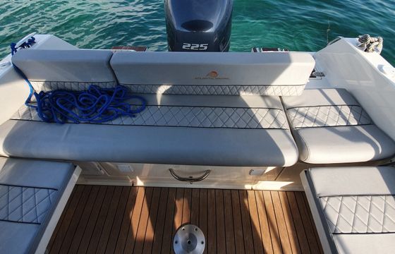 Motorboat Atlantic marine Sun Cruiser 690 225hp