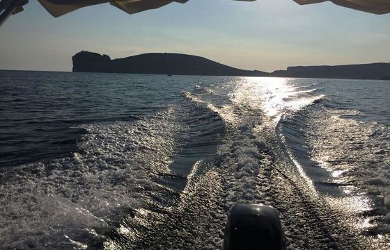 Motorboat Quicksilver Activ 505 Open 40hp