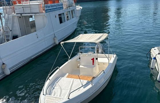 Boat without licence Saver 19 Open 40hp