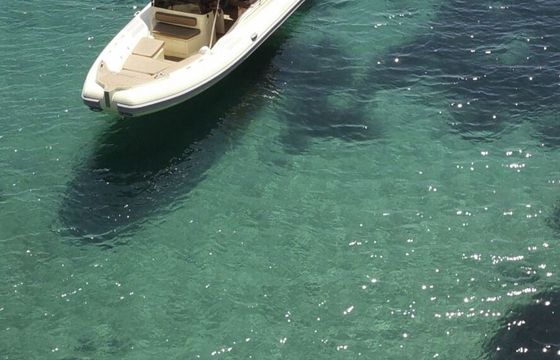RIB Solemar 25 offshore 225hp