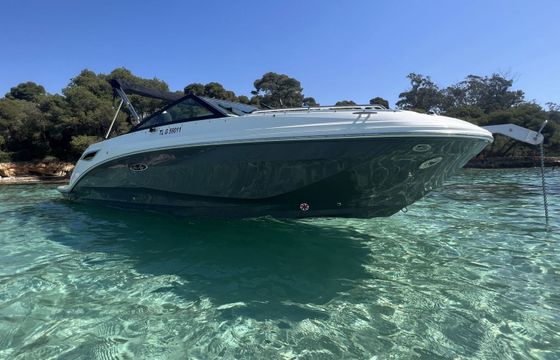 Motorboat Sea Ray 250 SDX 250hp