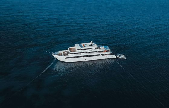 Motor yacht Hurghada 2024 2000hp
