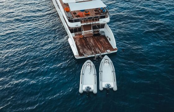 Motor yacht Hurghada 2024 2000hp
