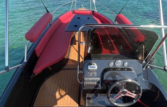 Motorboat ISATEK TEKNE COBRA 495 30hp