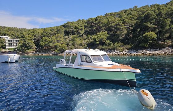 Motorboat Bakan 900 250hp