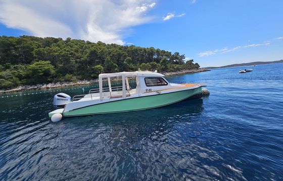 Motorboat Bakan 900 250hp