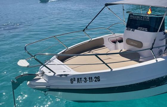 Motorboat Blueline 21 open 175hp
