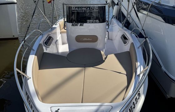 Motorboat Blueline 21 open 175hp