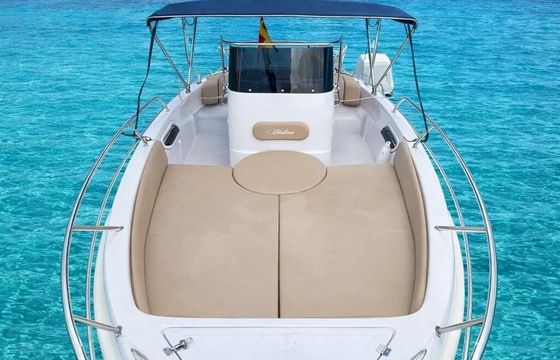 Motorboat Blueline 21 open 175hp