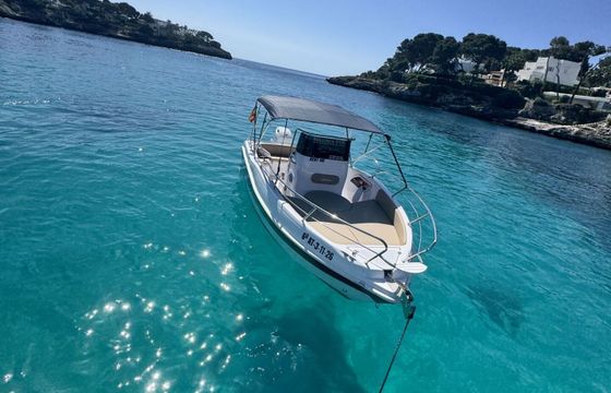 Motorboat Blueline 21 open 175hp