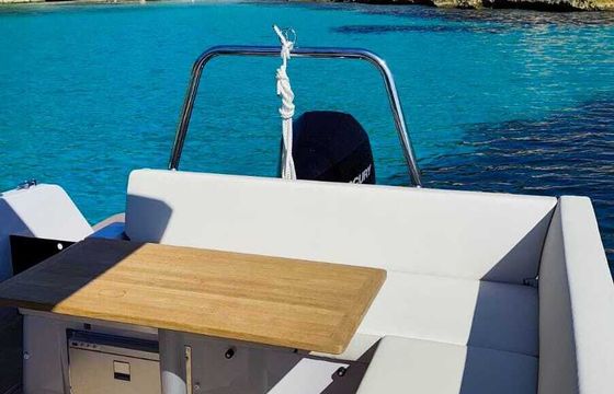 Motorboat Ryck 280