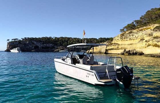 Motorboat Ryck 280