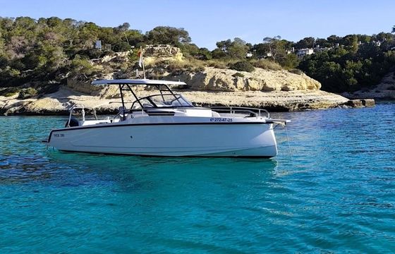 Motorboat Ryck 280