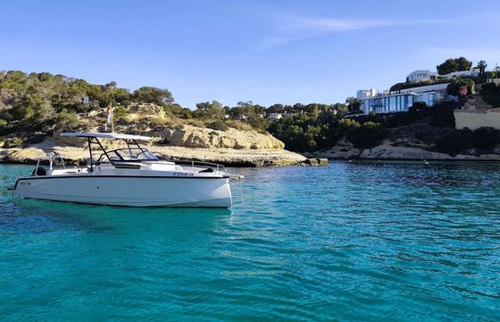 Motorboat Ryck 280