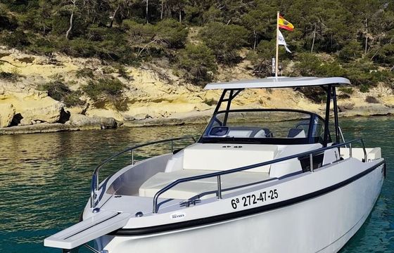 Motorboat Ryck 280