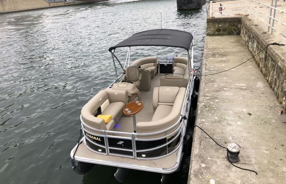 Motorboat Smart craft Pontoon 115hp