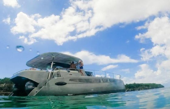 Catamaran CATAMARAN LOSE 50 15m