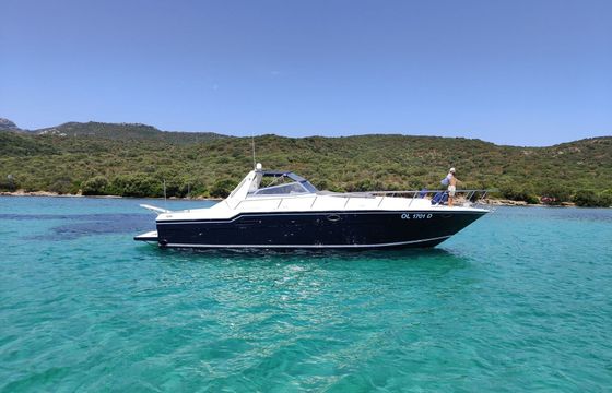 Motorboat SEA RAY SEA RAY 46