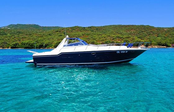 Motorboat SEA RAY SEA RAY 46
