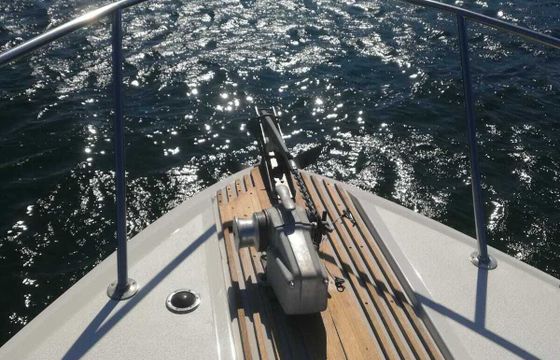 Motorboat SEA RAY SEA RAY 46
