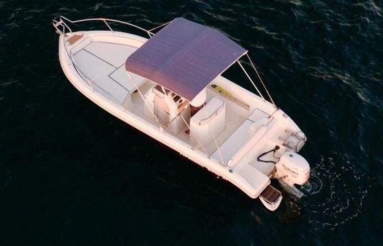 Boat without licence  Terminal Boat TERMINAL BOAT 21 40hp
