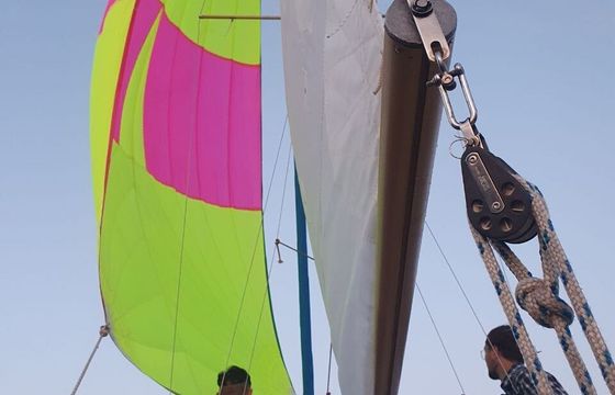 Sailboat Albin Viggen 7m