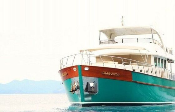 Motorboat Custom Trawler 900hp