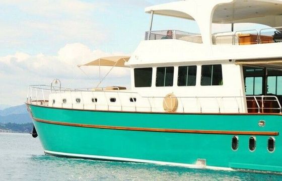 Motorboat Custom Trawler 900hp